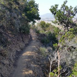 Miner's Ridge Loop hiking trail