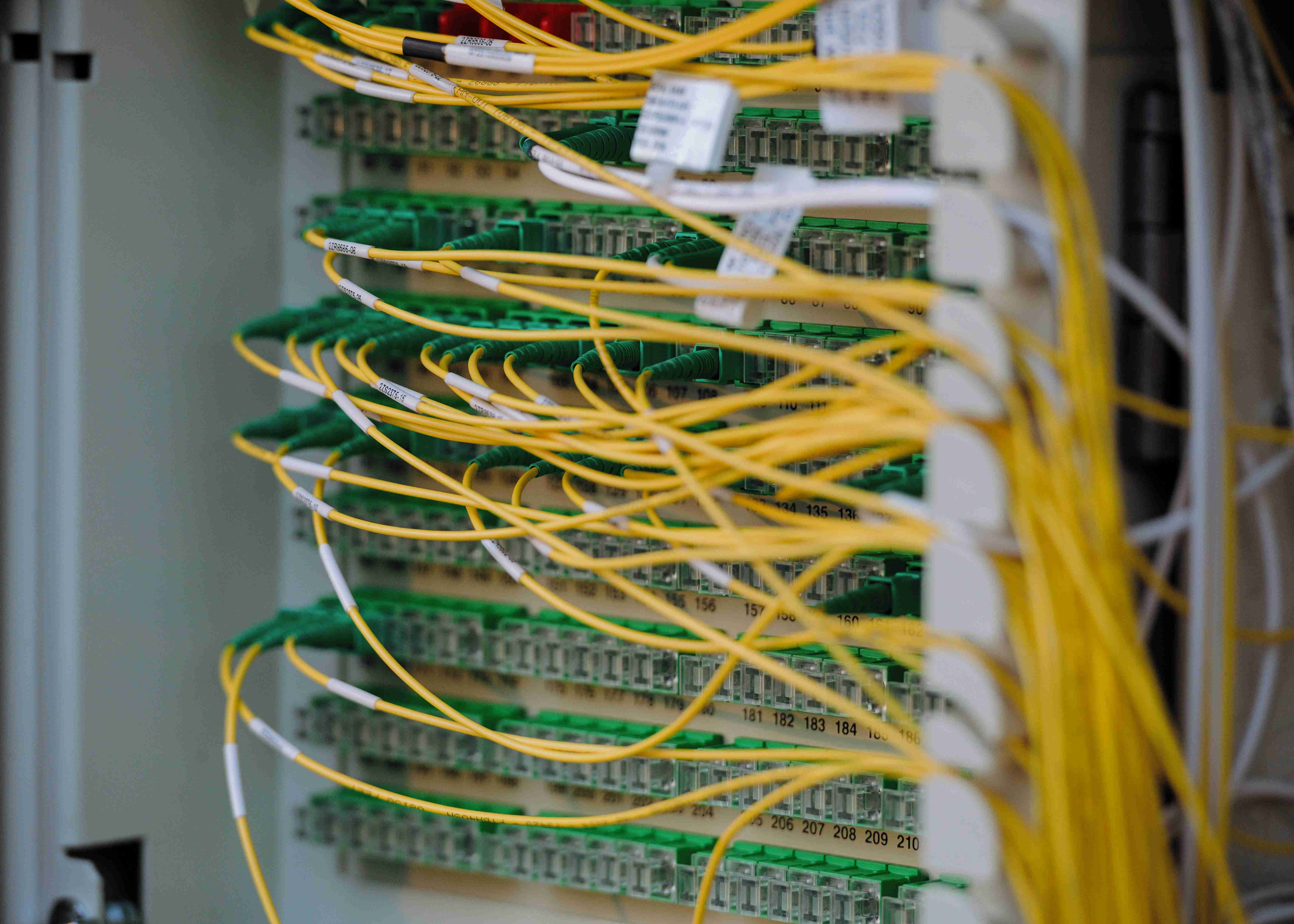 An image of networking cables in a rack